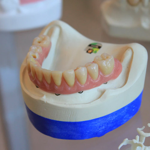 Bottom row of false teeth